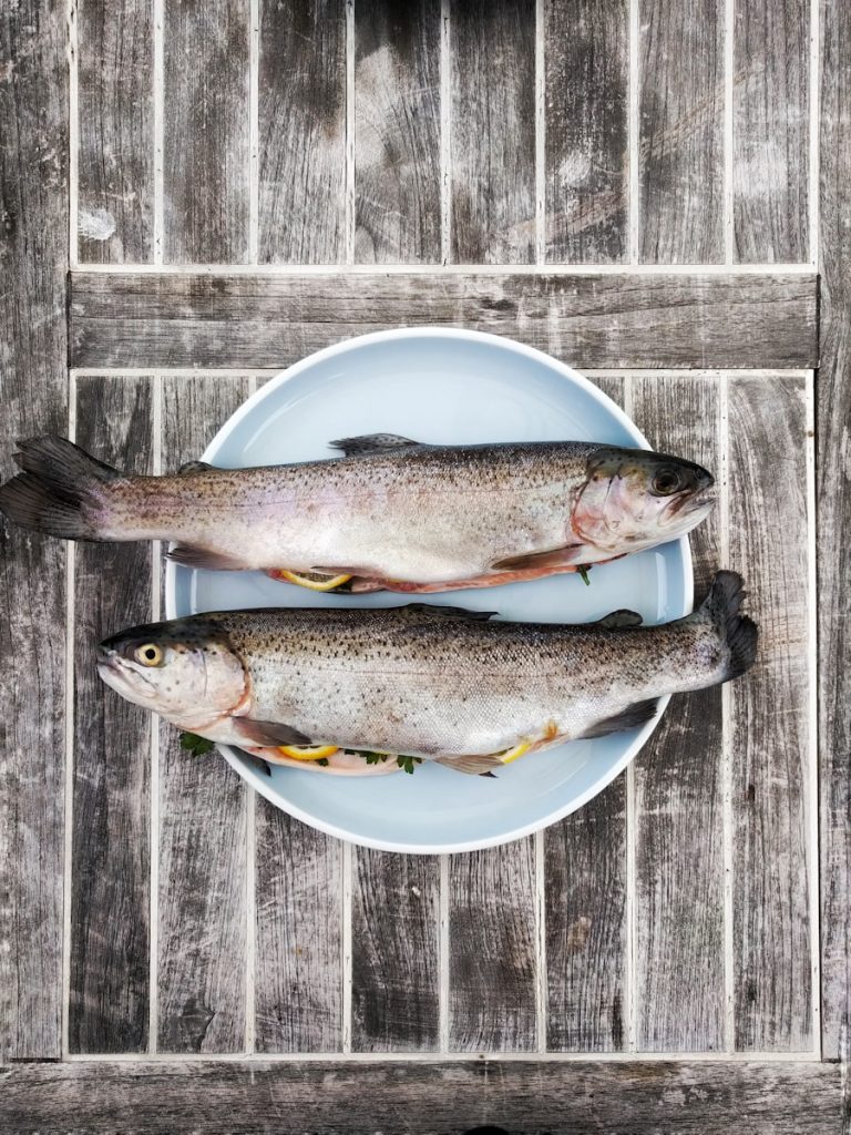 Fish are a reliable source of Omega 3 acids